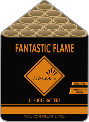 Holee Fireworks F2 cakes 15 shots HL2015-01 Frieworks